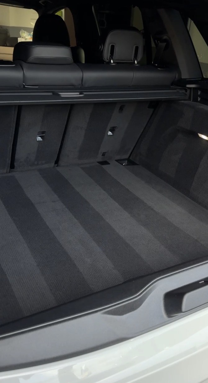 Avid Detailing Result