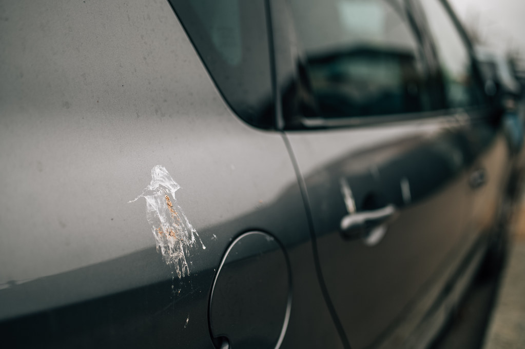 Dried bird dropping streaked down the dark grey paint of a car's rear quarter panel beside the fuel filler door, with dust and water spotting on the surrounding clear coat